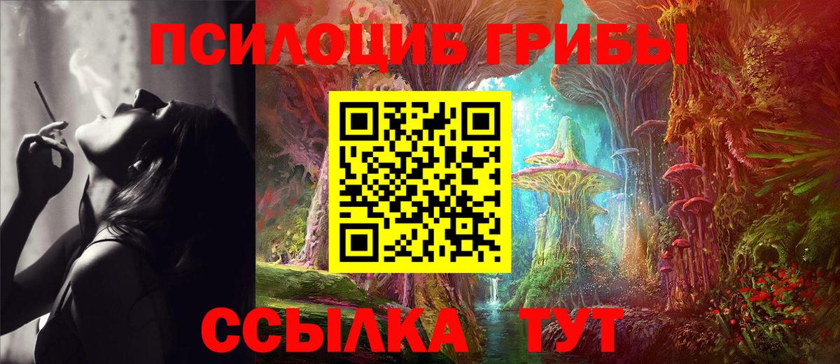 Ржев  Псилоцибиновые грибы MAGIC MUSHROOMS  Вход с VPN 