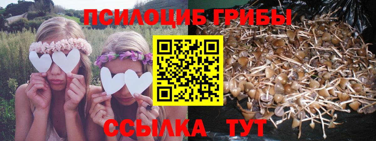 Галлюциногенные грибы GOLDEN TEACHER Ржев